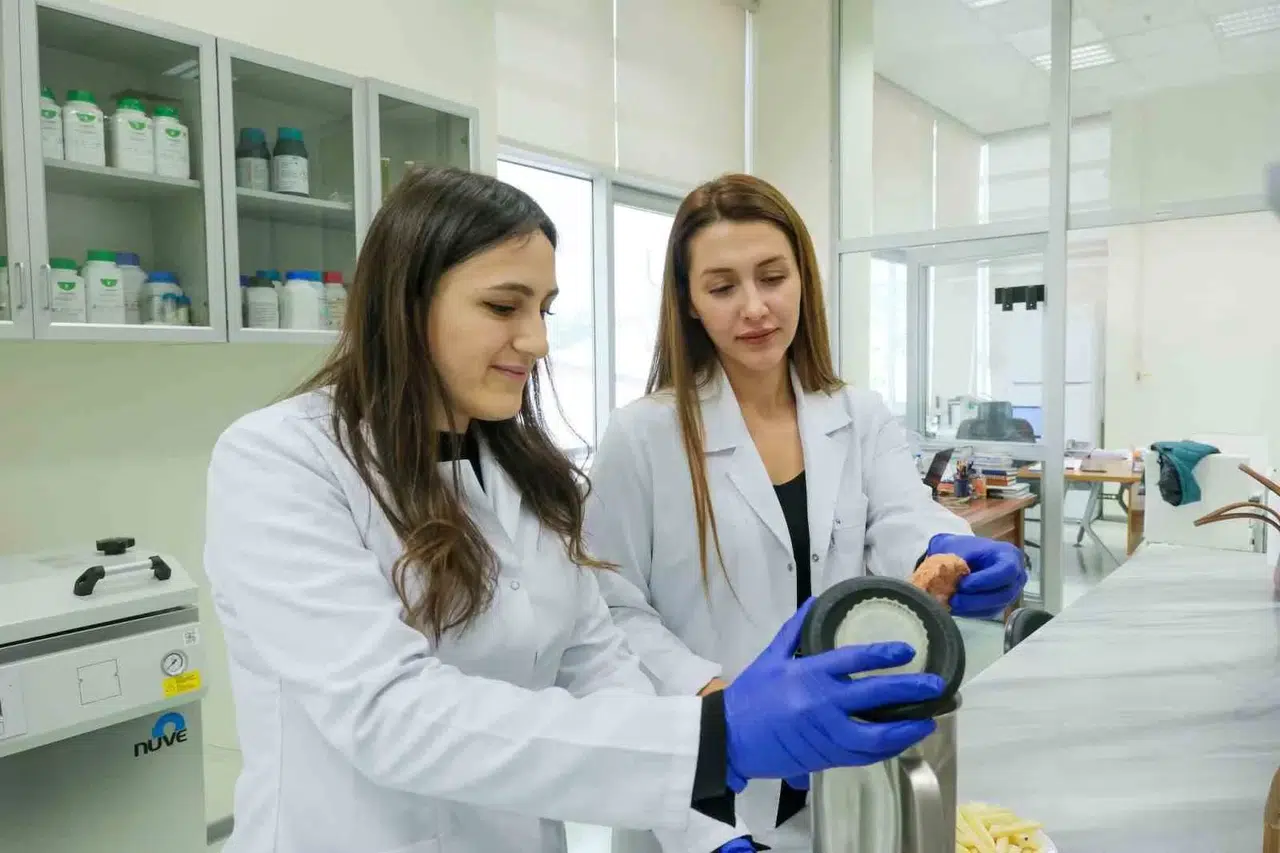 Vazgeçilmez Yemeklere Bilimsel Dokunuş: Patates, Köfte ve Pişi İçin En Sağlıklı Pişirme Usulü Araştırılacak