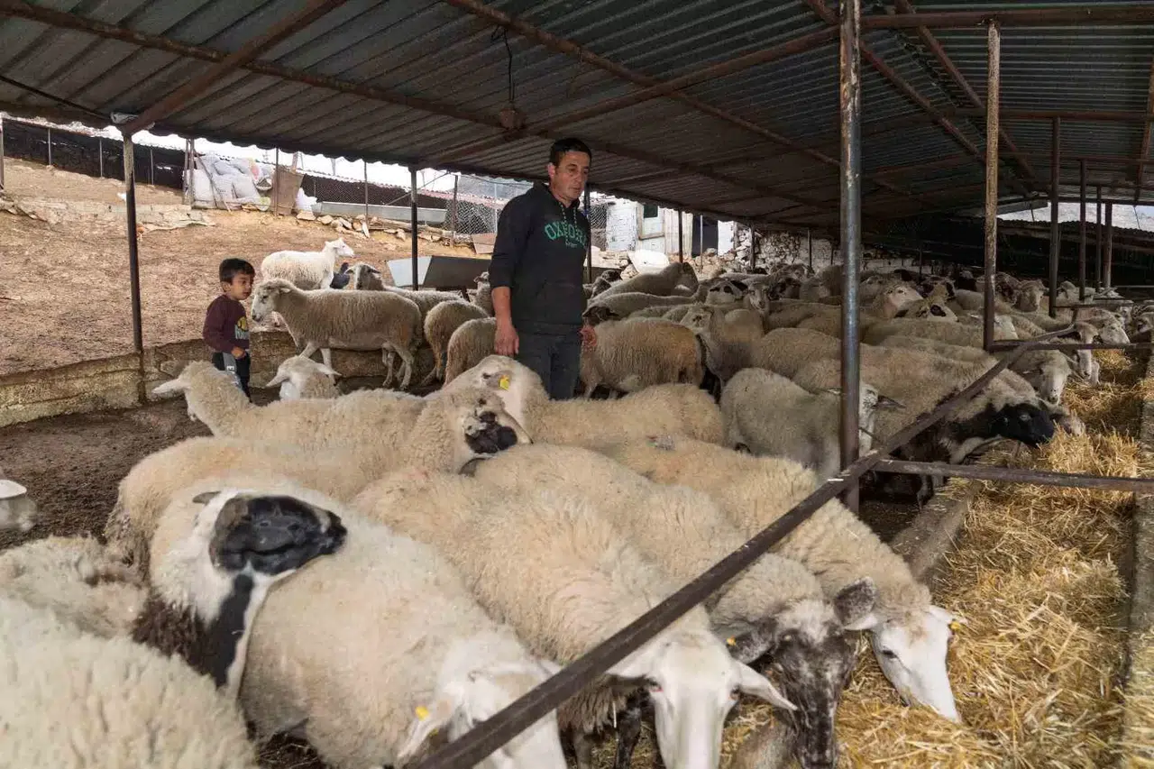 Yangın Mağduru Çiftçilere 225 Ton Yem Dayanağı