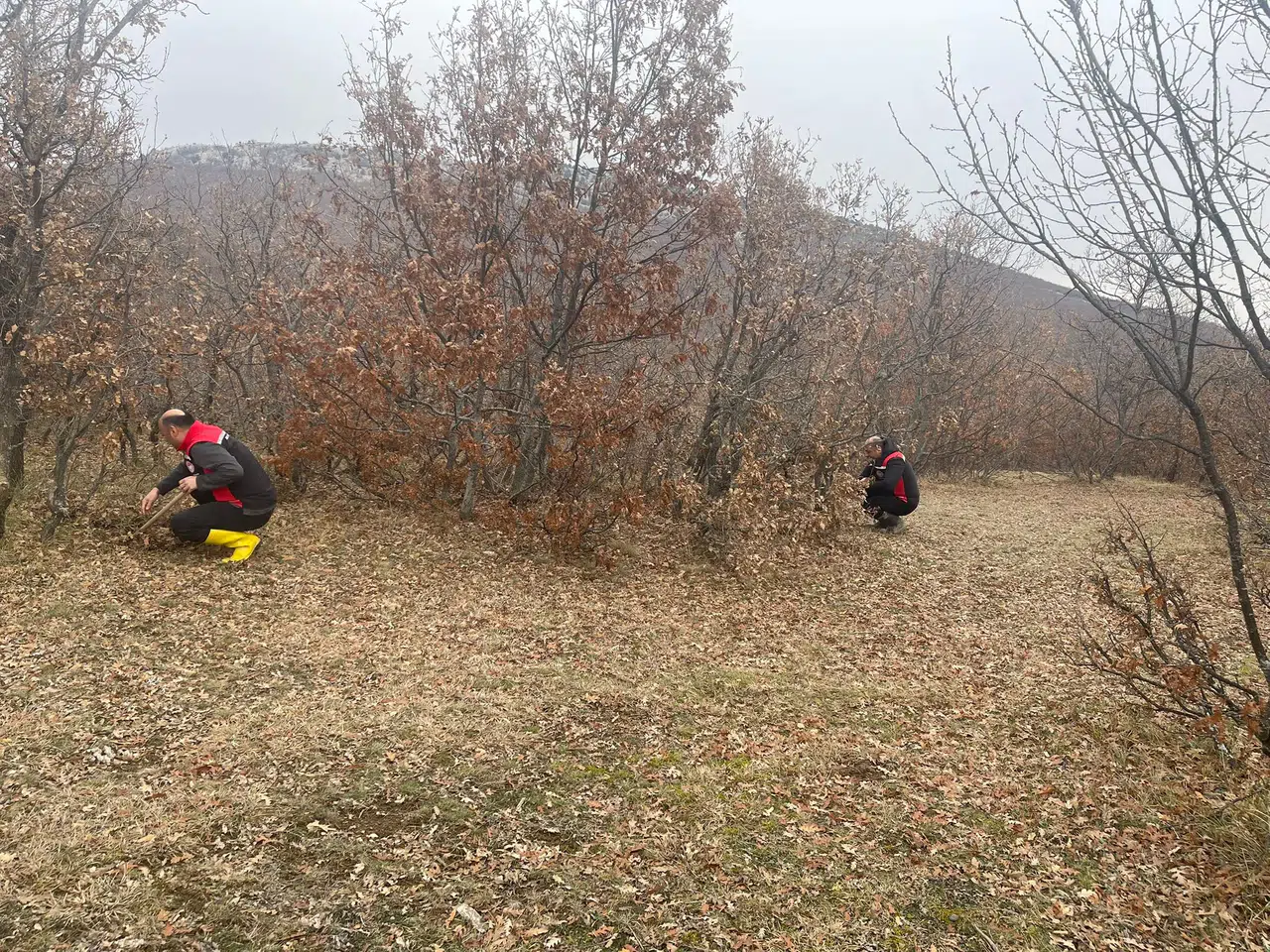 Hububat Zararlılarına Karşı Sürvey Çalışmaları