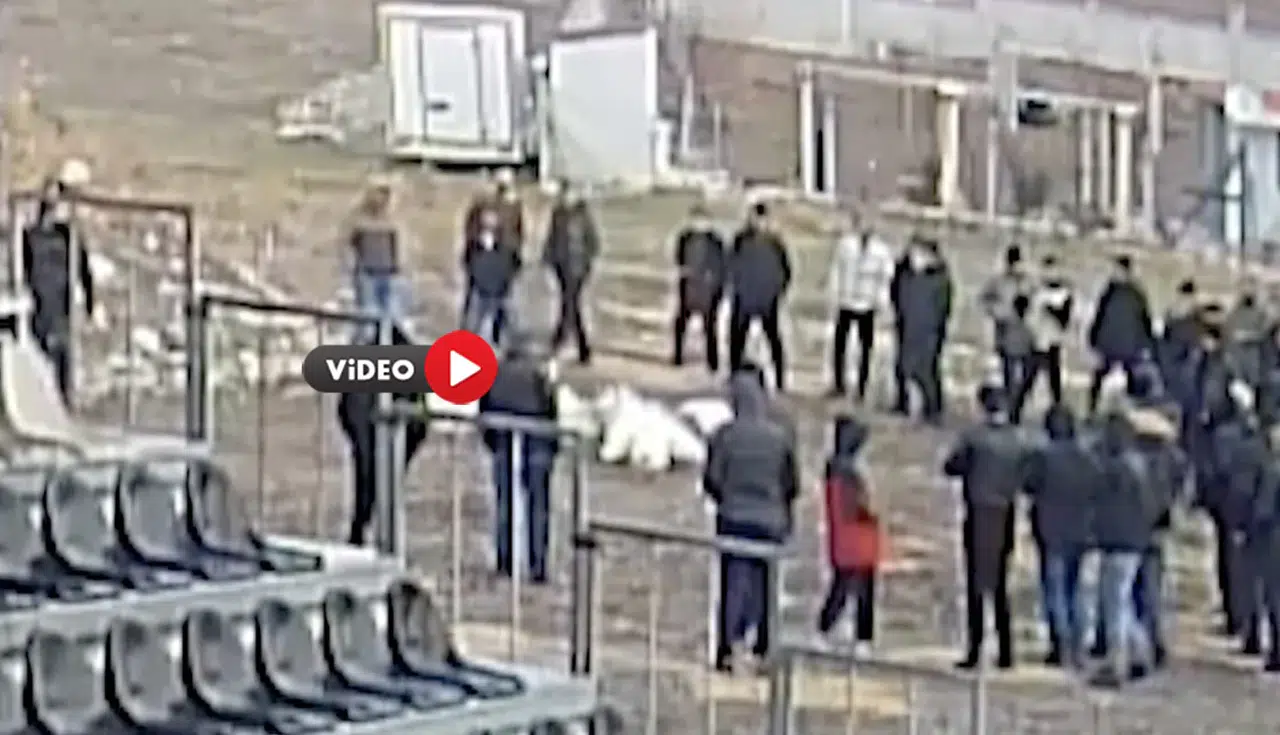 Kaz Dövüşü Yaptırırken Suçüstü Yakalandılar