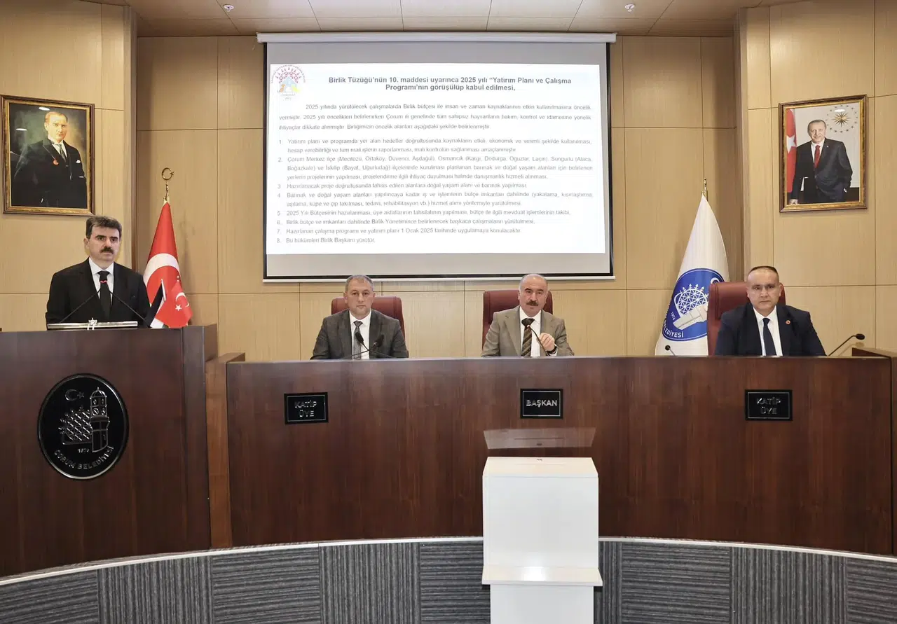 Sokak Hayvanları İçin Doğal Yaşam Alanları Yapılacak