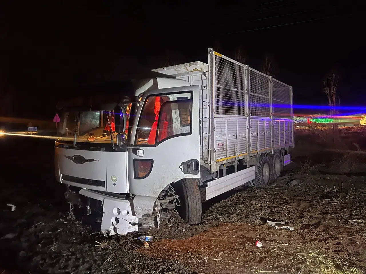 Tarlaya Uçan Kamyonun Sürücüsü Yaralandı
