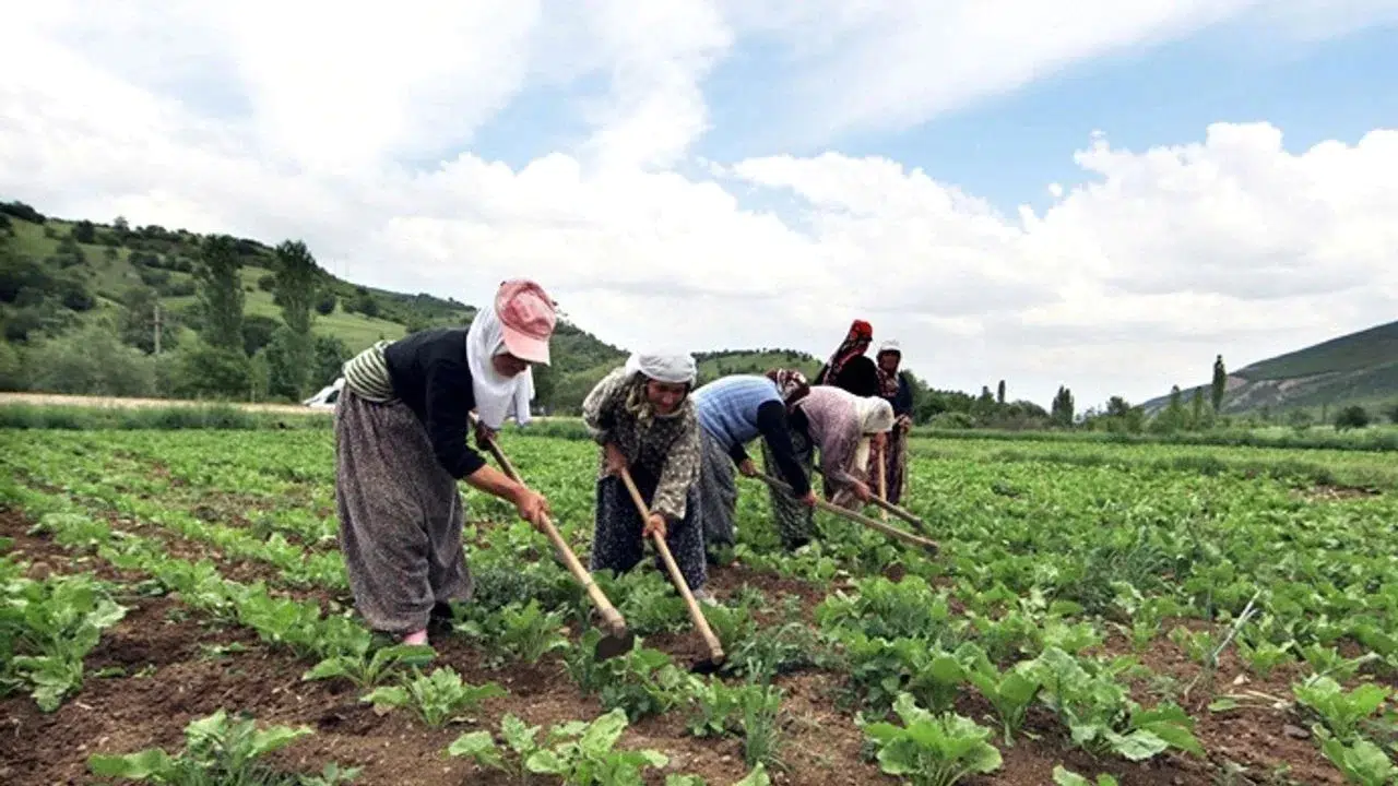 Üreticilere ÇKS Hatırlatması