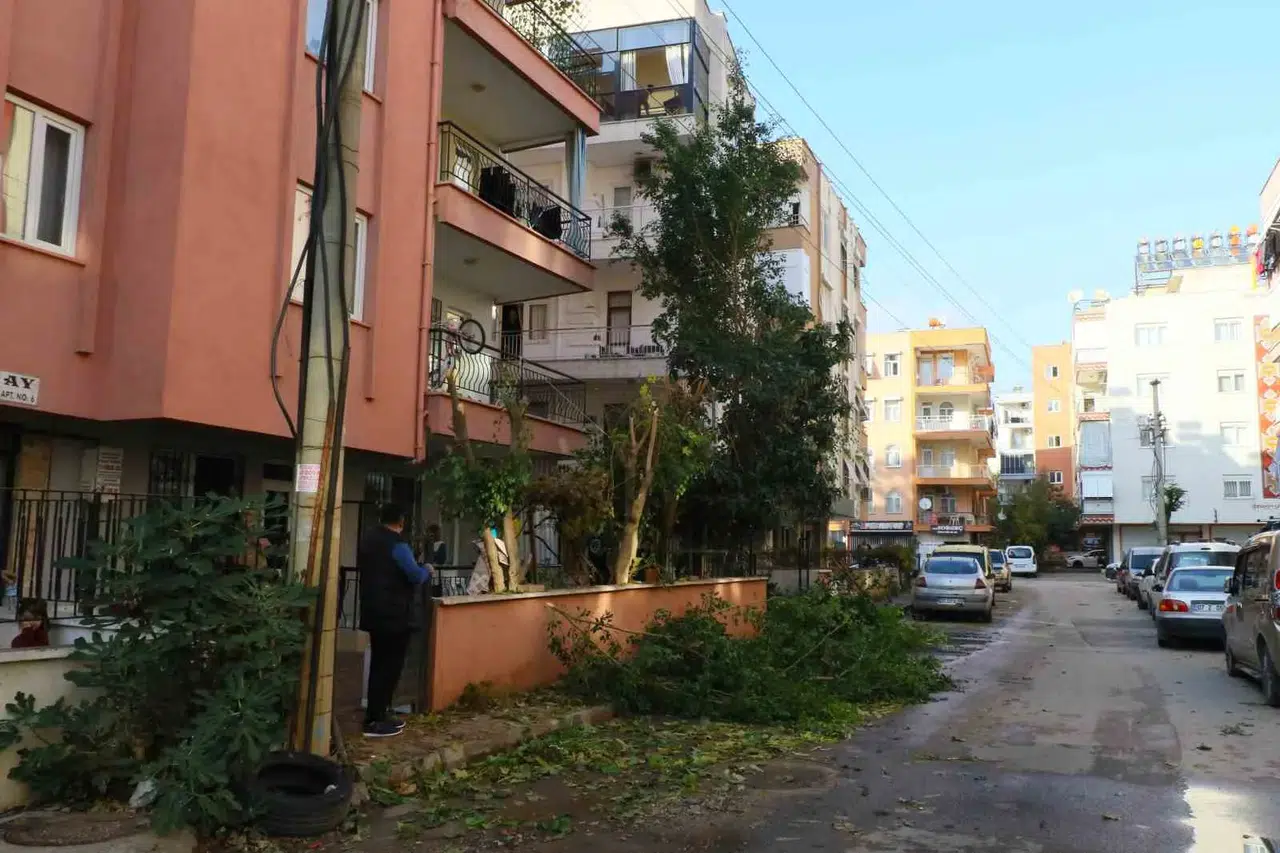 Ağaç Budarken Bütün Mahallenin Elektriğini Kesti, Elektronik Aygıtlarını Yaktı