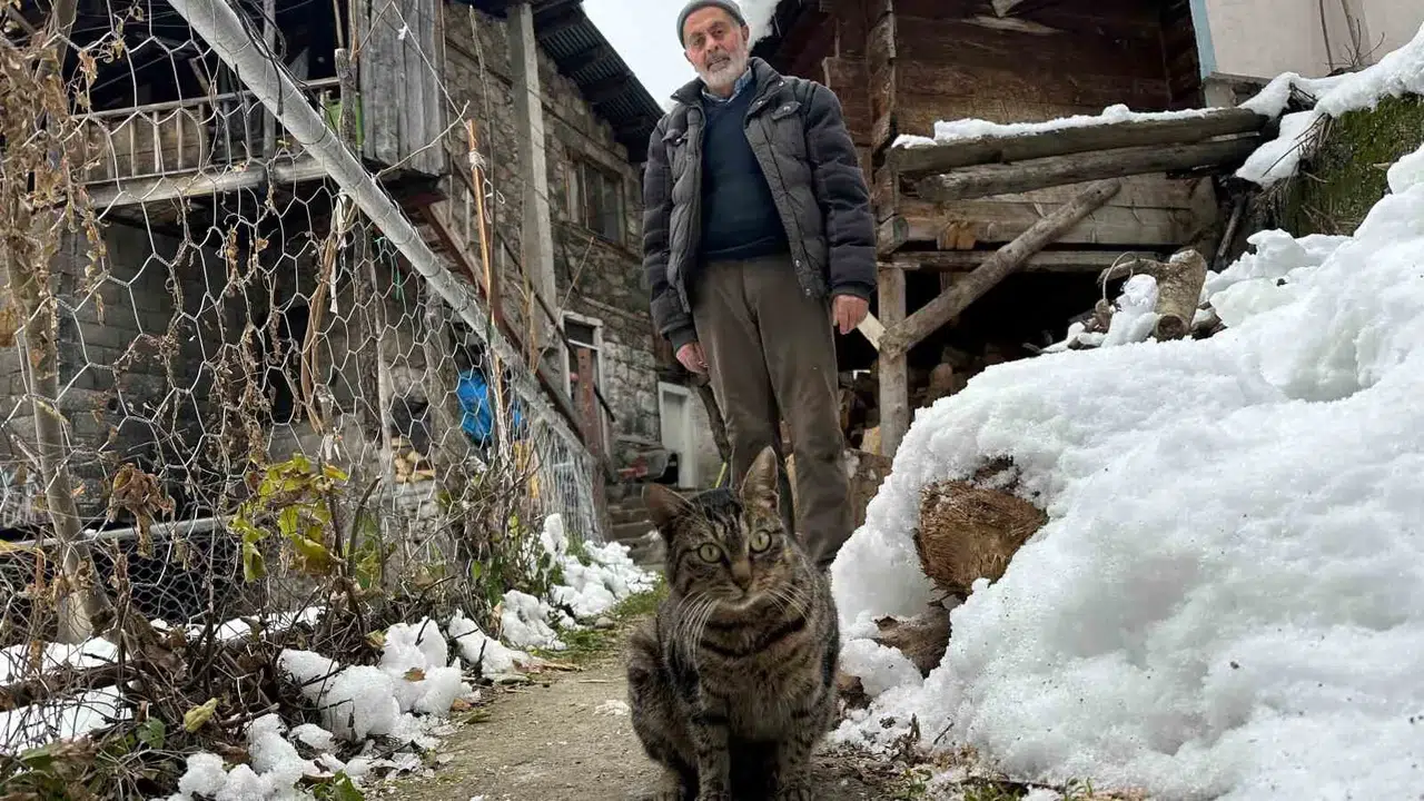 Artvin’de Mezrada Mahsur Kalan Kedileri İçin Karlı Yolları Aşarak Yiyecek Taşıyor