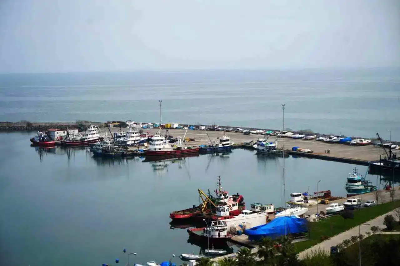 Balıkçı Teknelerindeki Kan ve Yağlar Artık Denize Bırakılamayacak