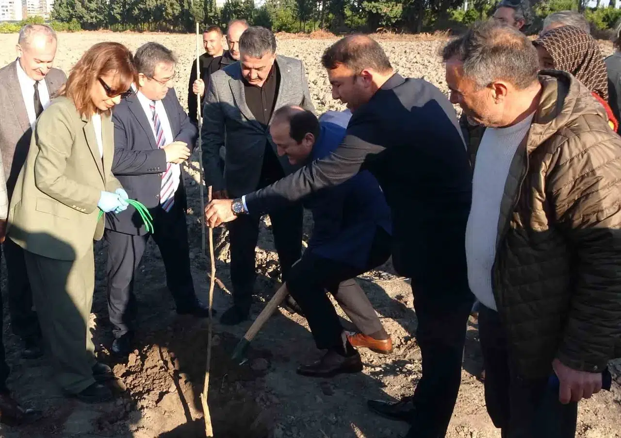 Birinci Derece Tarım Yeri Olmayan Alanlarda ’Kestane’ Yetişecek