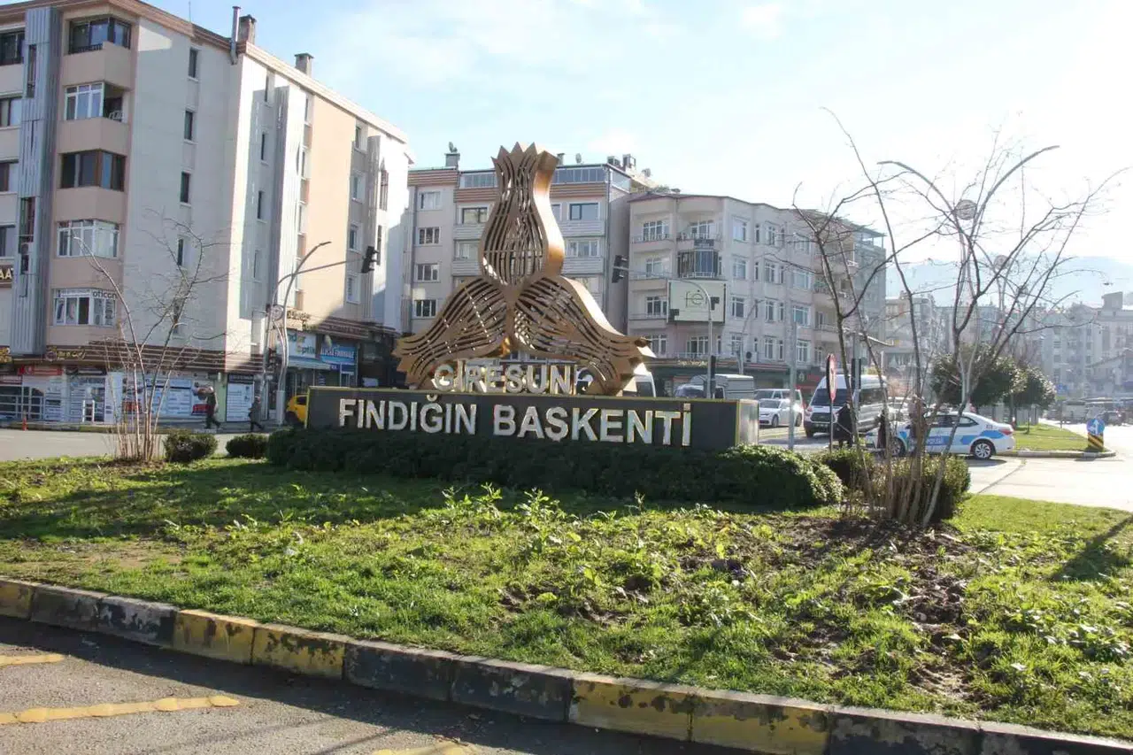 Giresun’da Kavşaklar Fındık Ağaçları ile Süslenecek