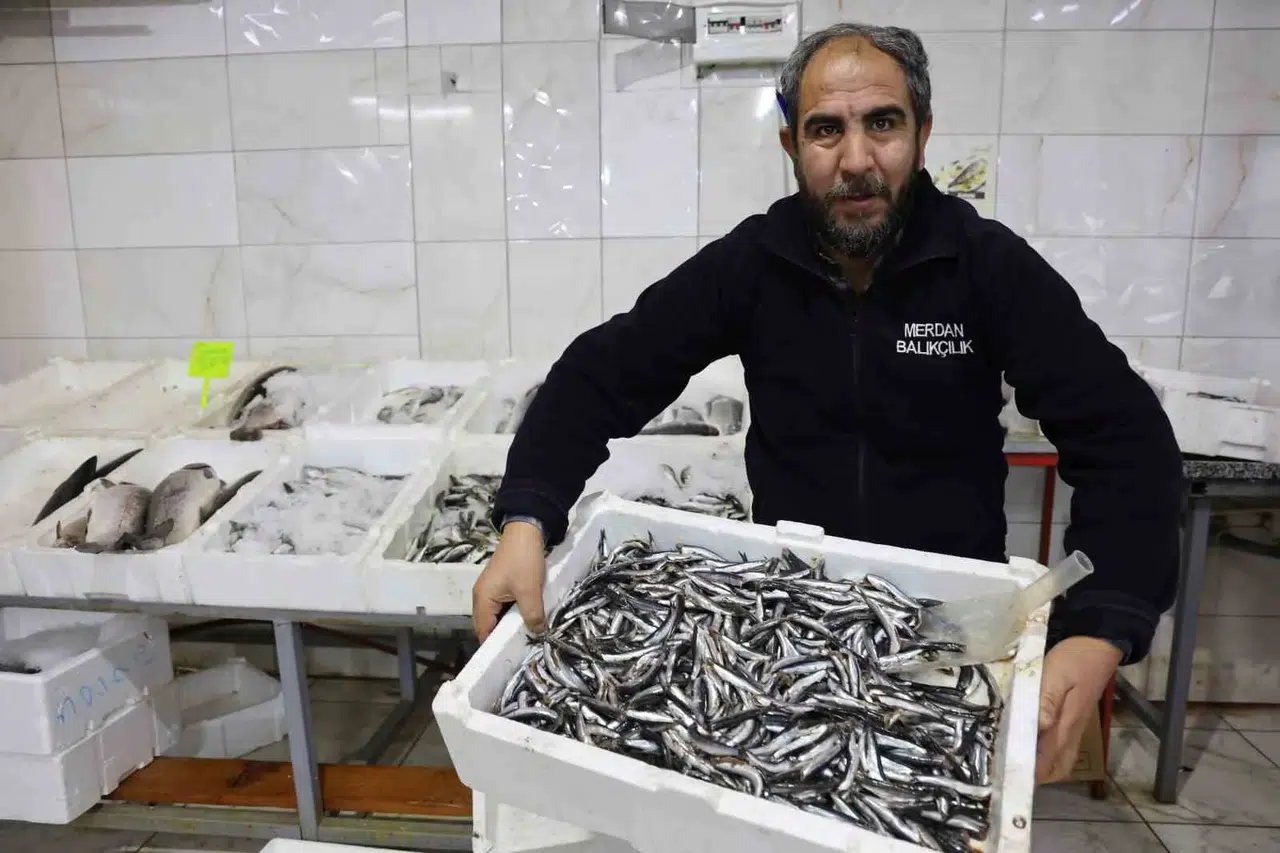 Kahramanmaraş’ta Günlük 4 Ton Balık Tüketiliyor