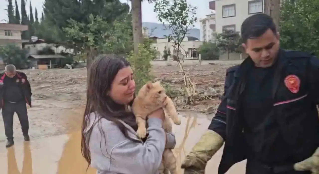 Kolda Mahsur Kalan Kedisi Kurtarılınca Sevinçten Gözyaşı Döktü
