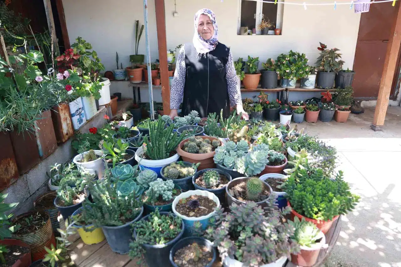 Meskeninin Her Tarafında Çiçek Eken Bayan, 500’ten Fazla Farklı Çiçek Yetiştirmeyi Başardı