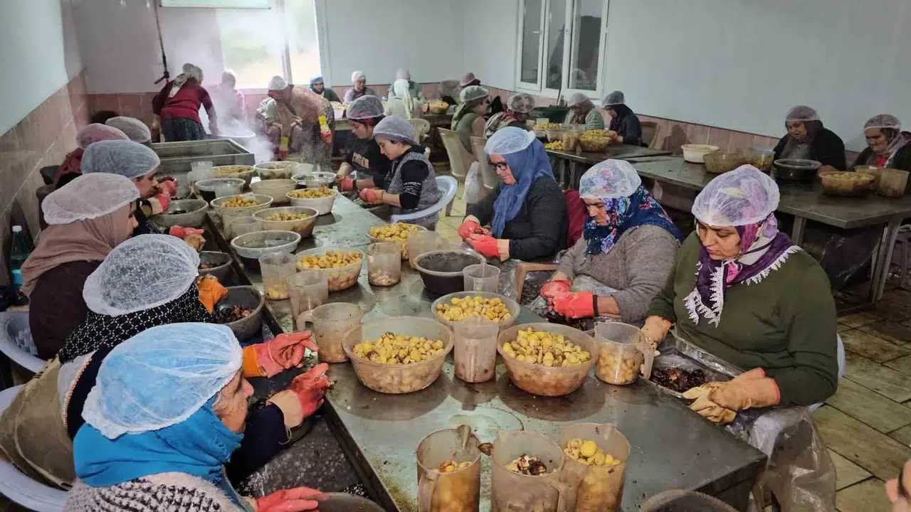 Nazilli’nin Kestane Şekeri, Uzakdoğu Sofralarını Süslüyor