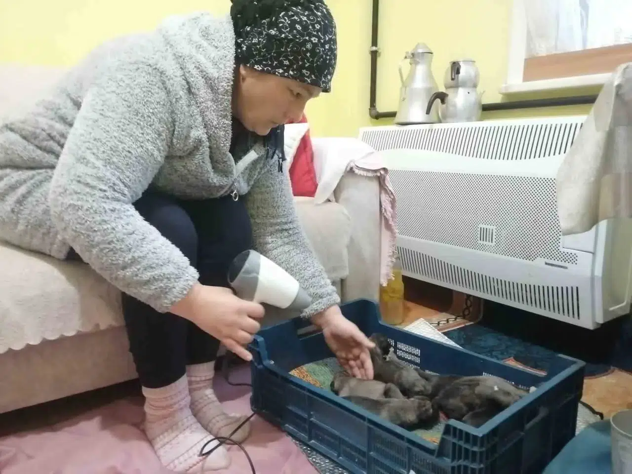 Sancaktepe’de Çöp Konteynerine Atılmış Poşet İçinde 11 Yavru Köpek Bulundu