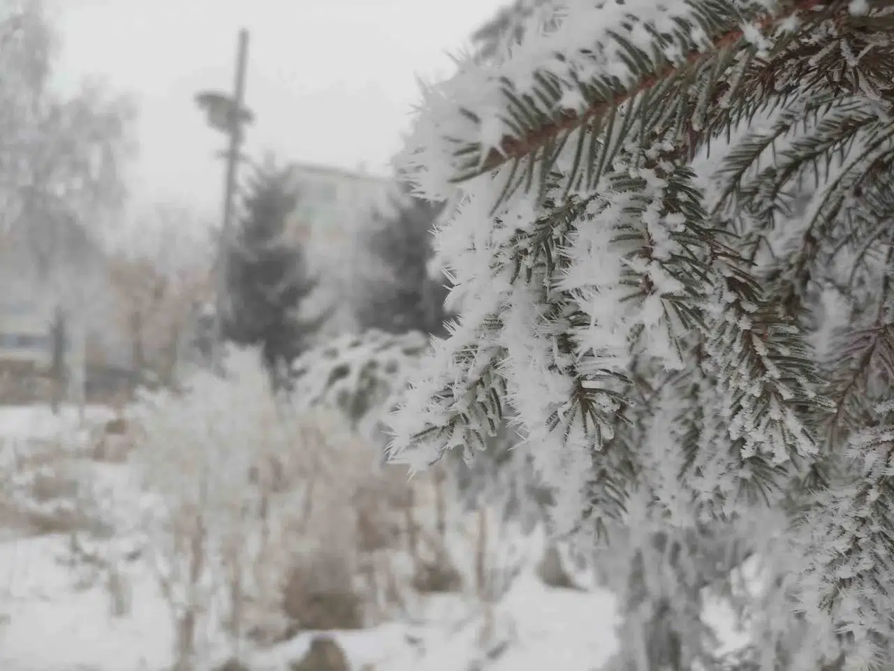 Sibirya Soğukları Ardahan’ı Dondurdu