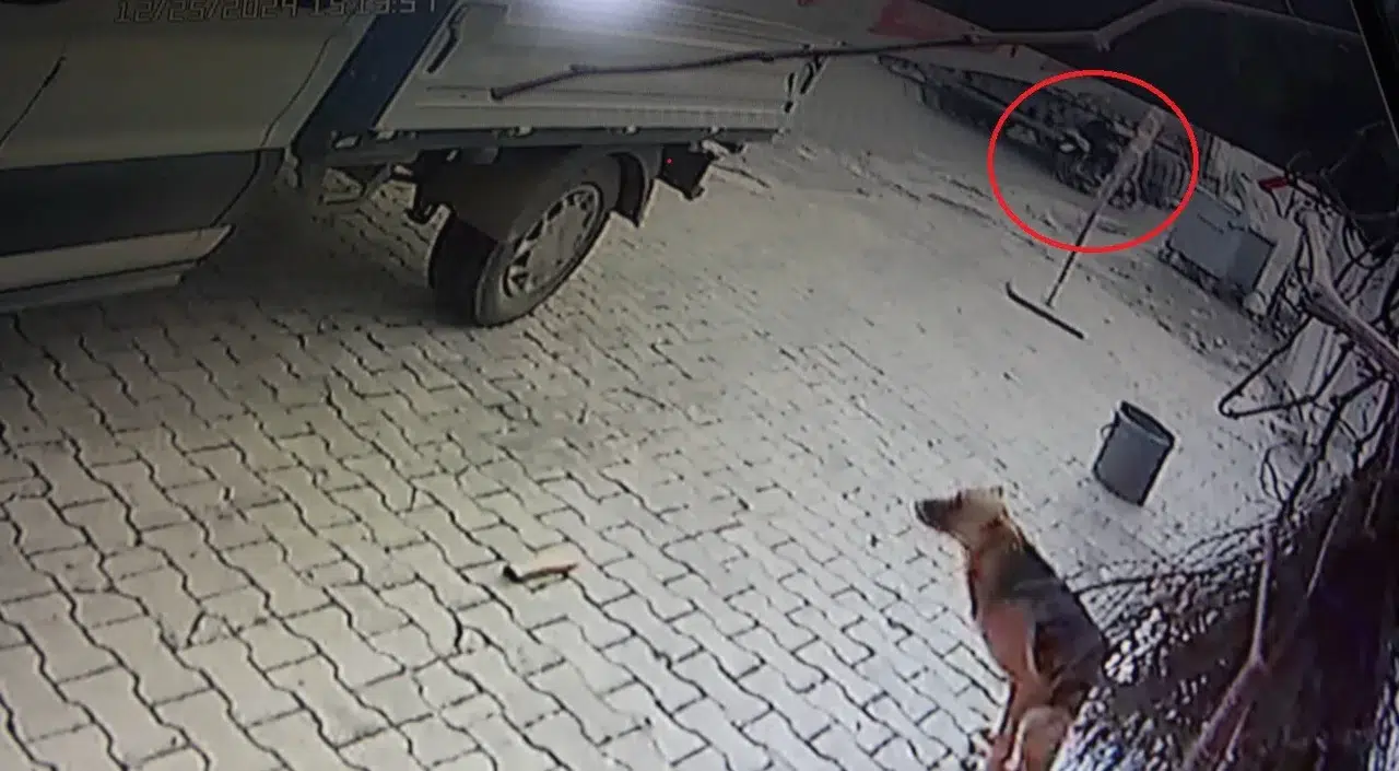 Tırla Çarpışan Motosikletin 84 Yaşındaki Şoförü Hayatını Kaybetti