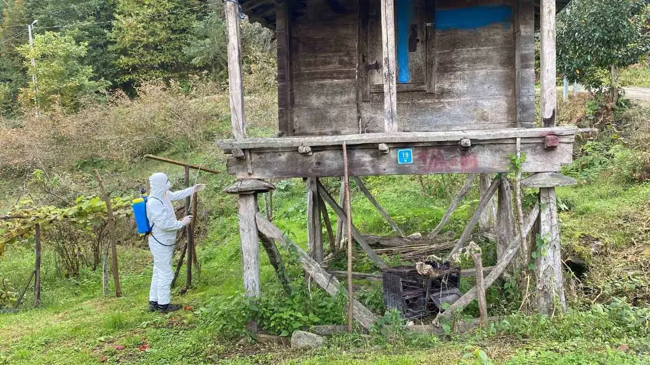 Trabzon’da Kokarcayla Çabada 1 Milyon 312 Bin Metrekarelik Alan İlaçlandı