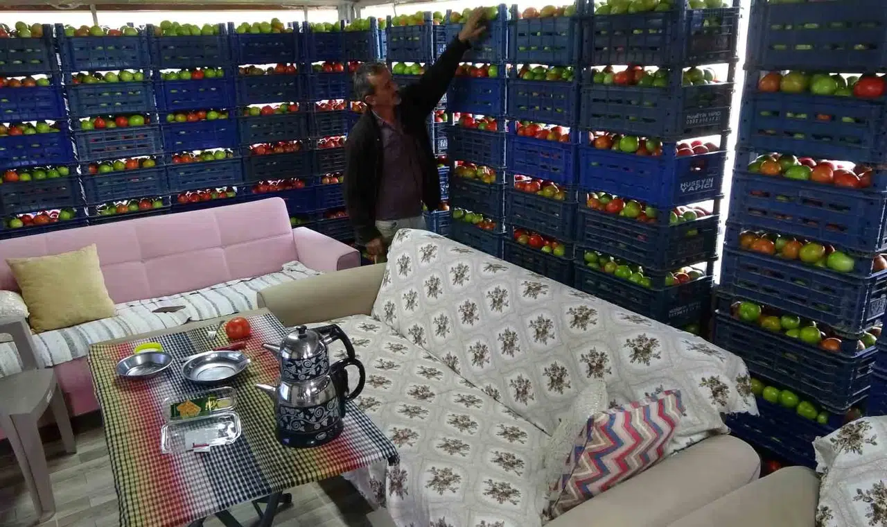 Yetiştirdiği Eserle Gurur Duyan Üretici, 3 Ton Domatesi Konutuna Taşıdı