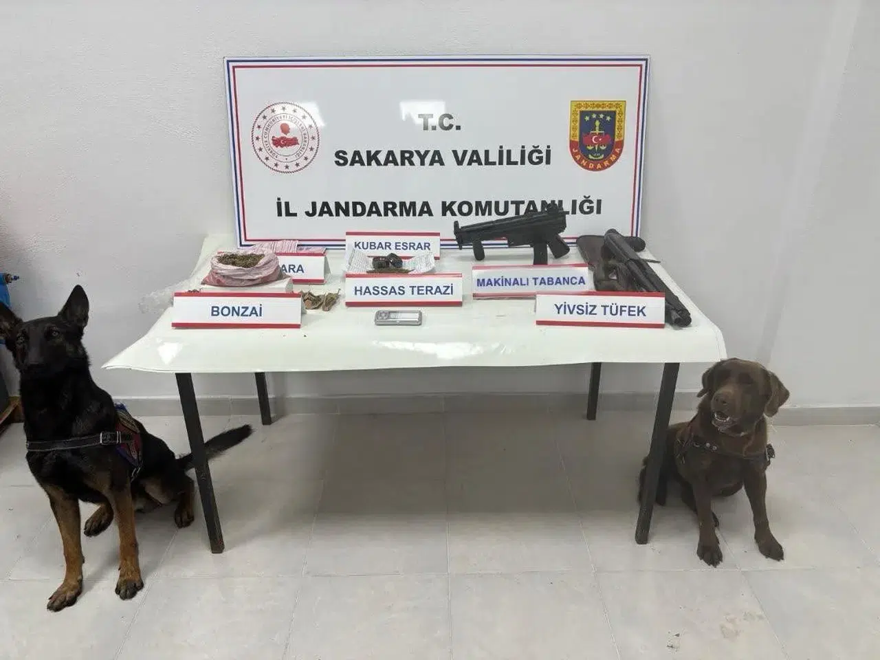 2024’ün Son Ayında Jandarma Kaçakçılığa ve Uyuşturucuya Geçit Vermedi: 11 Tutuklama