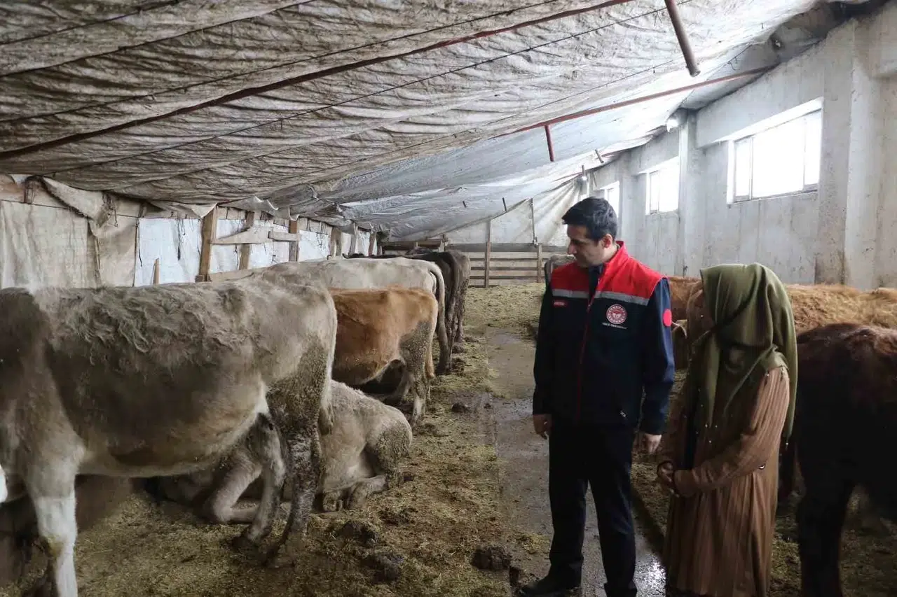 25 Yıl Sonra Döndüğü Memleketinde Kendi İşletmesini Kurarak Bayanlara Örnek Oldu