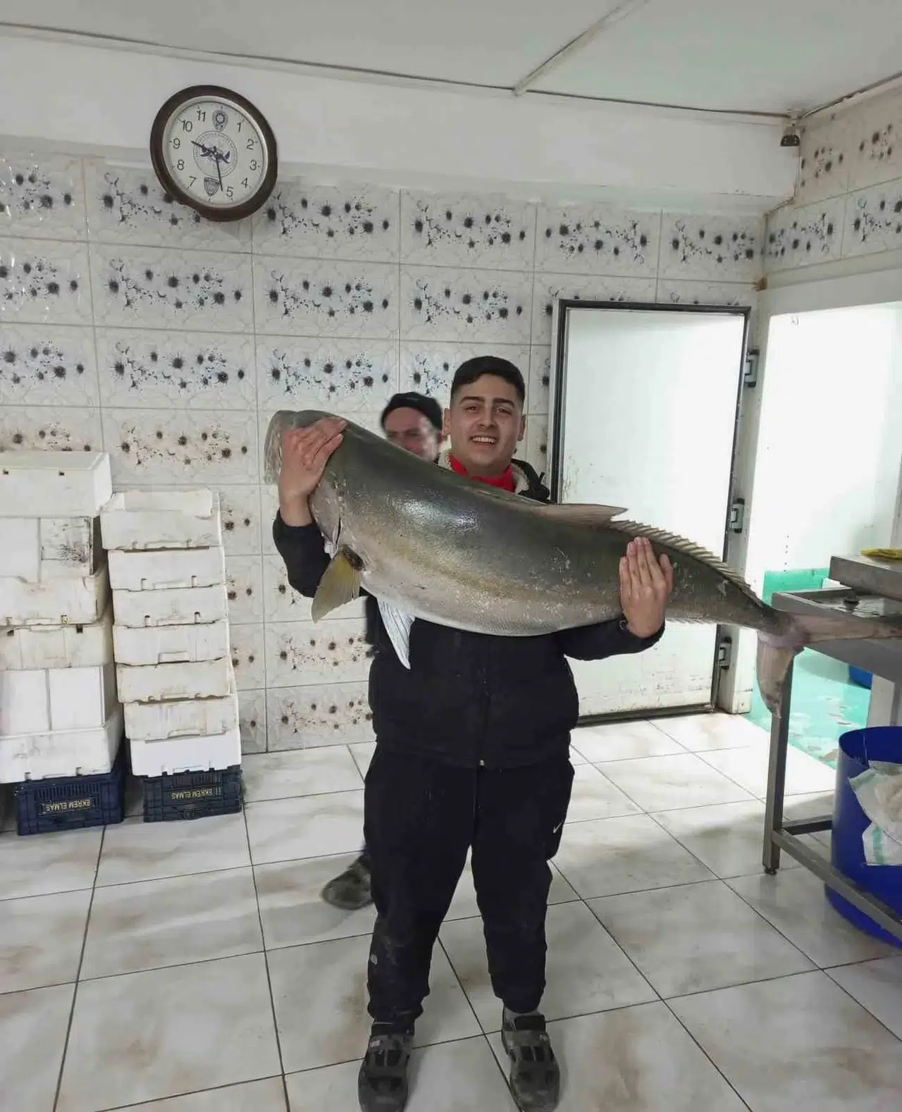 50 Kiloluk Akya Balığını 2 Kişi, 2 Saatlik Gayretle Yakalamayı Başardı
