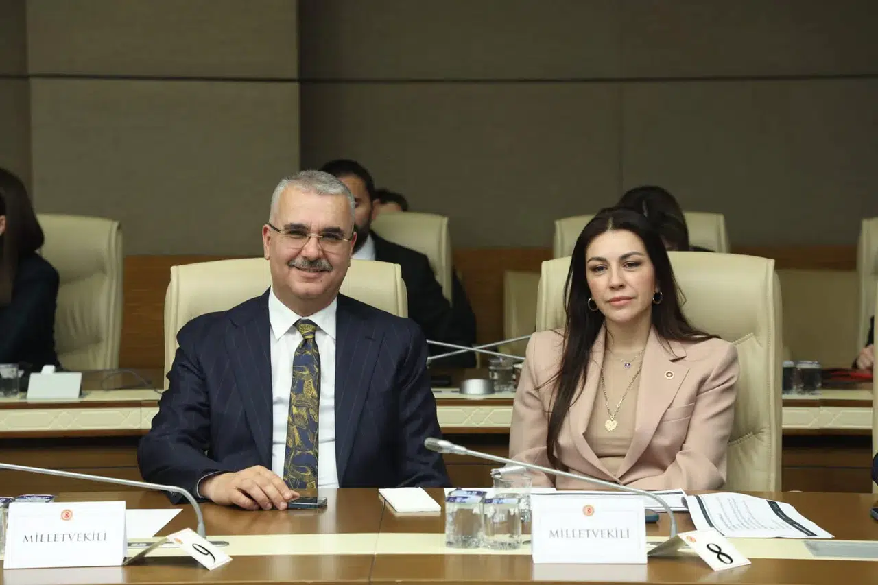 Ahlatcı, Kadına Yönelik Şiddet Toplantısında