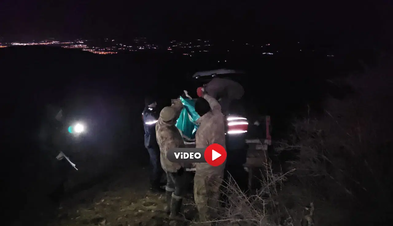 Avcılar Ormanlık Alanda Ceset Buldu