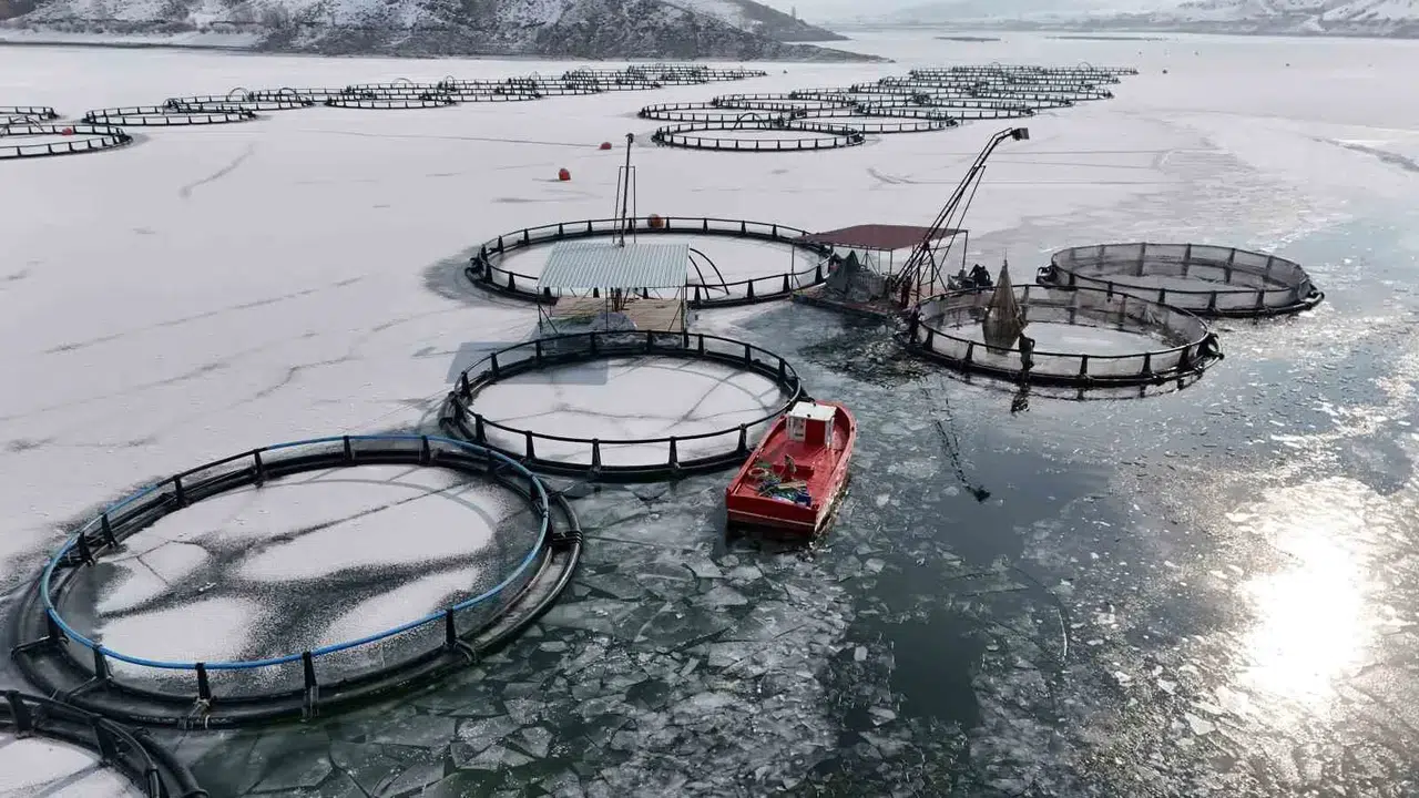 Antarktika Değil Erzincan; Belgeselleri Aratmayan İmajlarla Buz Tutan Gölde Balıkçılık Serüveni