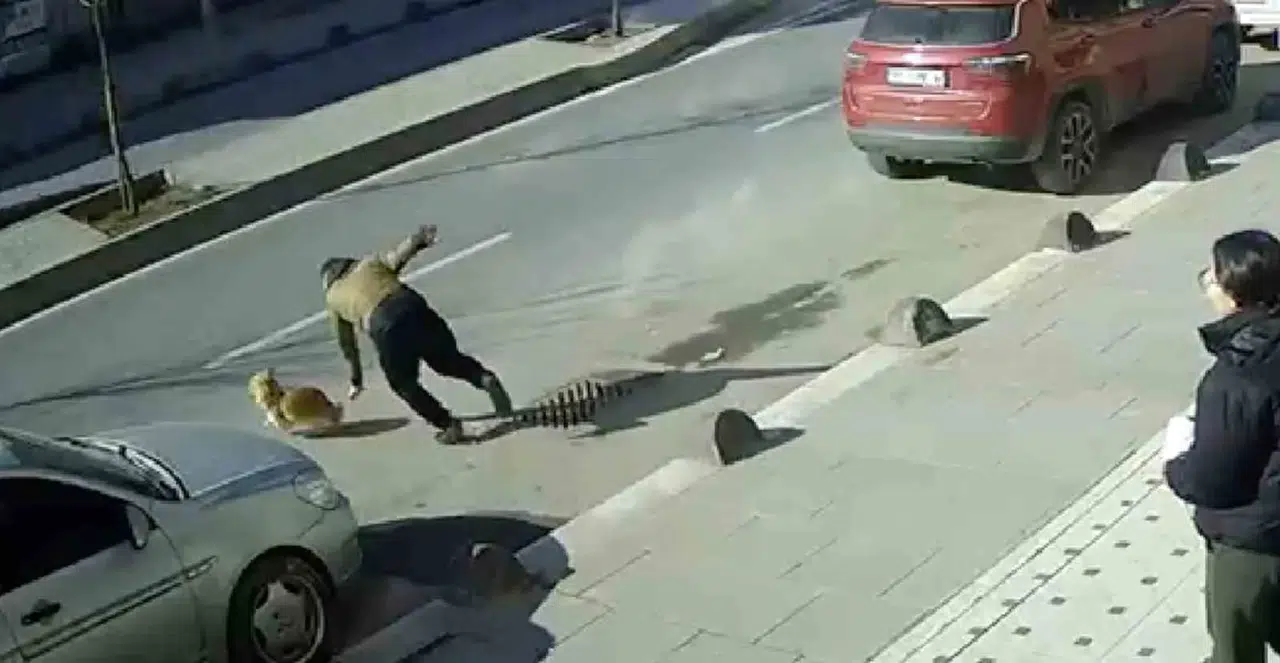 Elinden Kaçan Köpeğini Yakalamak İsterken Az Kalsın Aracın Altında Kalıyordu