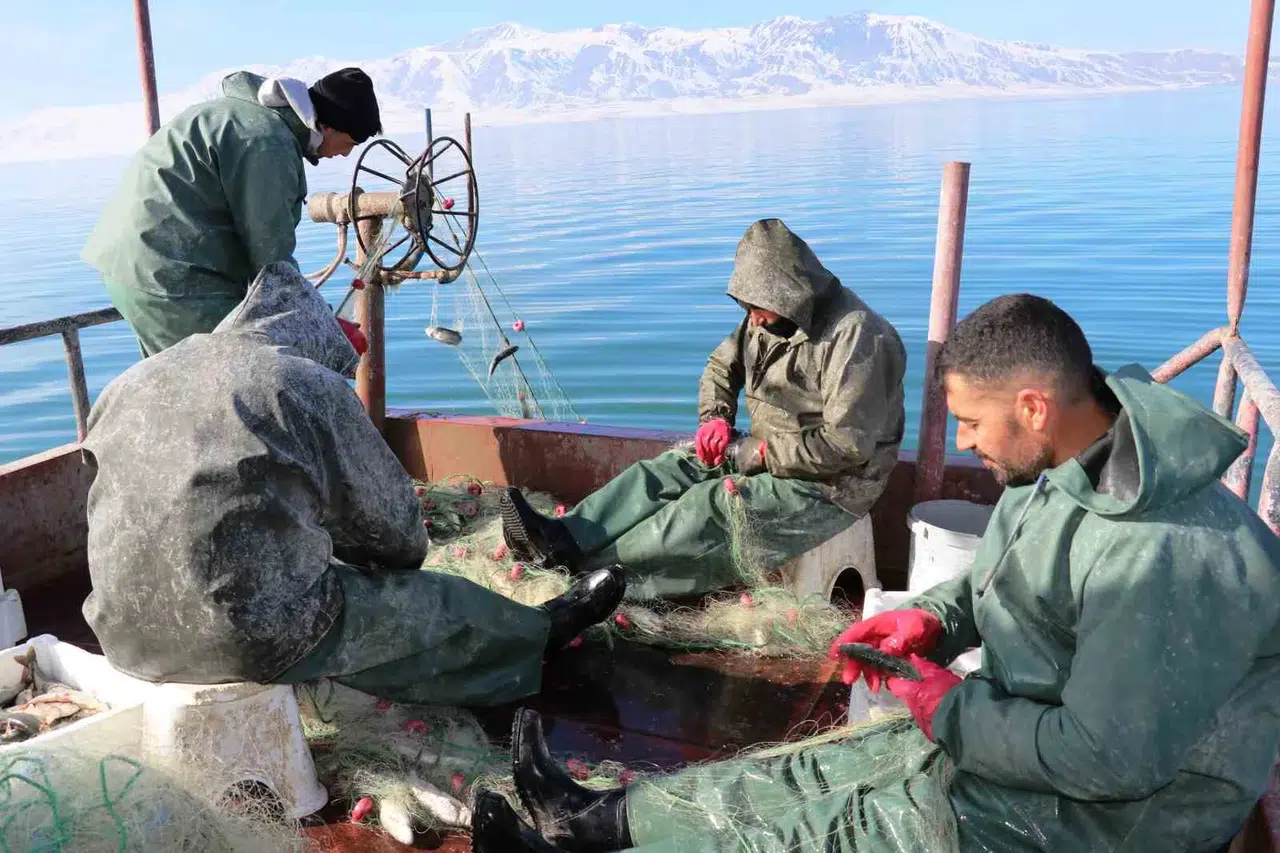 Erçek Gölü’ndeki Balık Popülasyonu Balıkçıları Sevindirdi