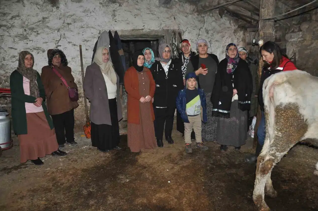 Kars’ta Bayanlar Sağlıklı Sağım Tekniklerini Öğreniyor