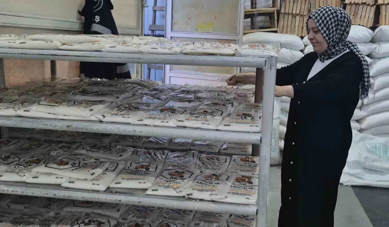Mesken Hanımı İş Bayanı Oldu