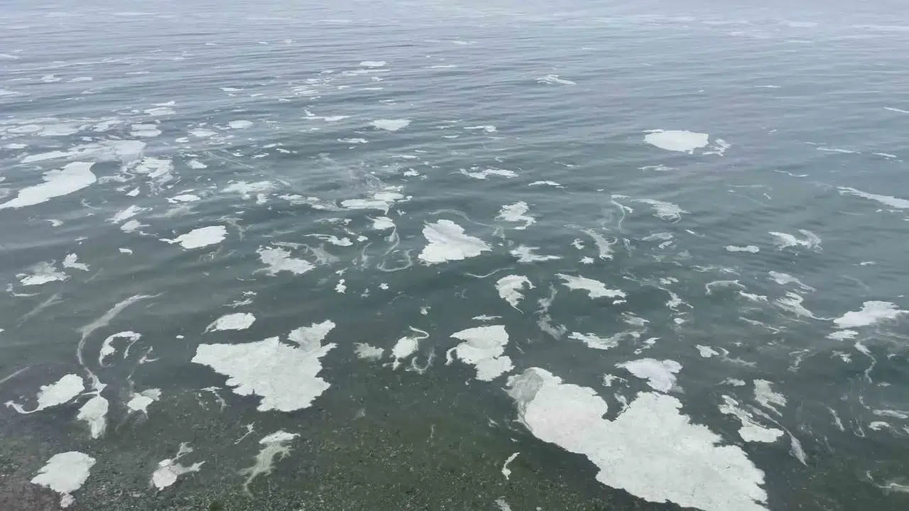 Mudanya’yı Müsilaj Sardı, Deniz Beyaz Katmanla Örtüldü