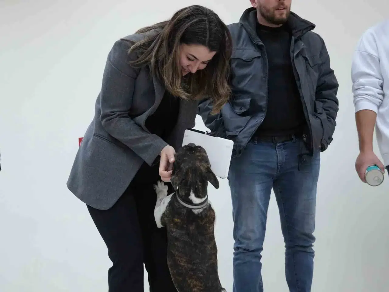 Sokak Hayvanları Yasaya Uygun Formda Rehabilite Edilecek