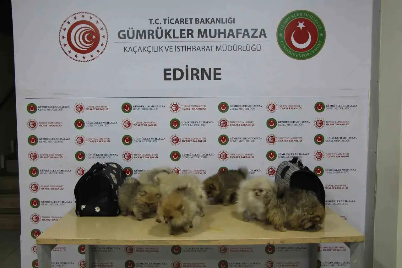 Ticaret Bakanlığı Yasa Dışı Ticarete Mani Oldu