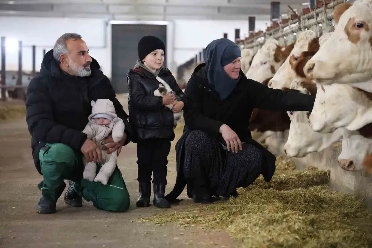 Tkdk’dan Aldığı Takviyeyle Ülkesine Dönüp Çiftlik Kurdu, 432 Ton Süt Üretiyor