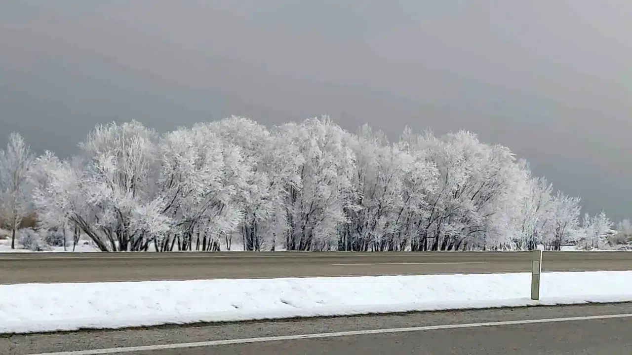 Van’da Kırağı ve Sis Kartpostallık Manzaralar Oluşturdu