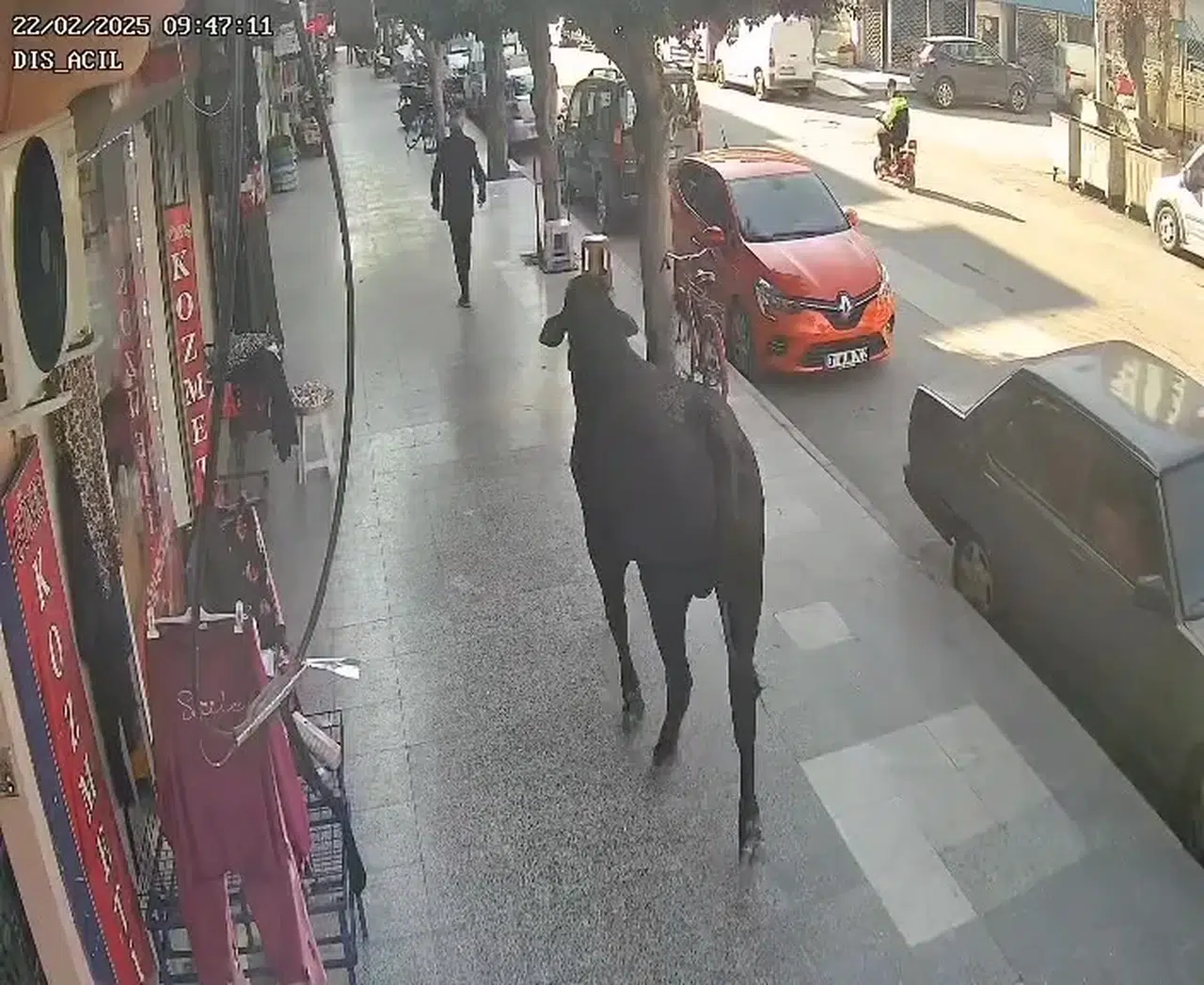 3 Saatlik Çaba Sonunda Yakalanan Angusun Vatandaşı Yaraladığı Anlar Kamerada