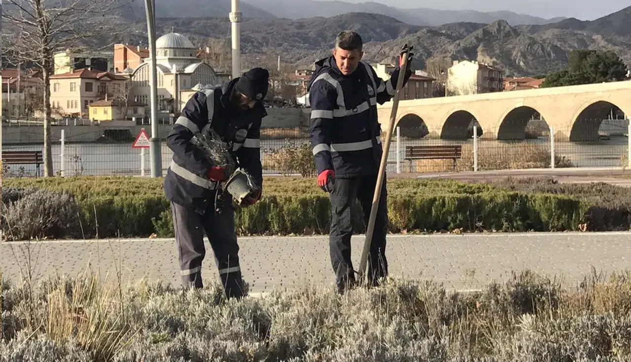 Daha Yeşil Bir İlçe İçin Çalışmalar Sürdürüyor