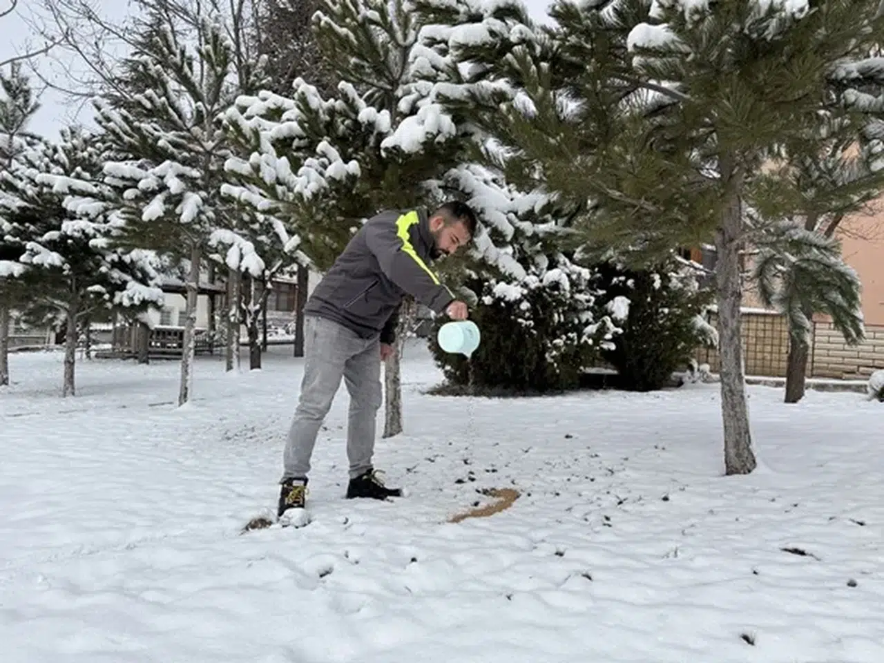 Doğadaki Canlılar Unutulmuyor