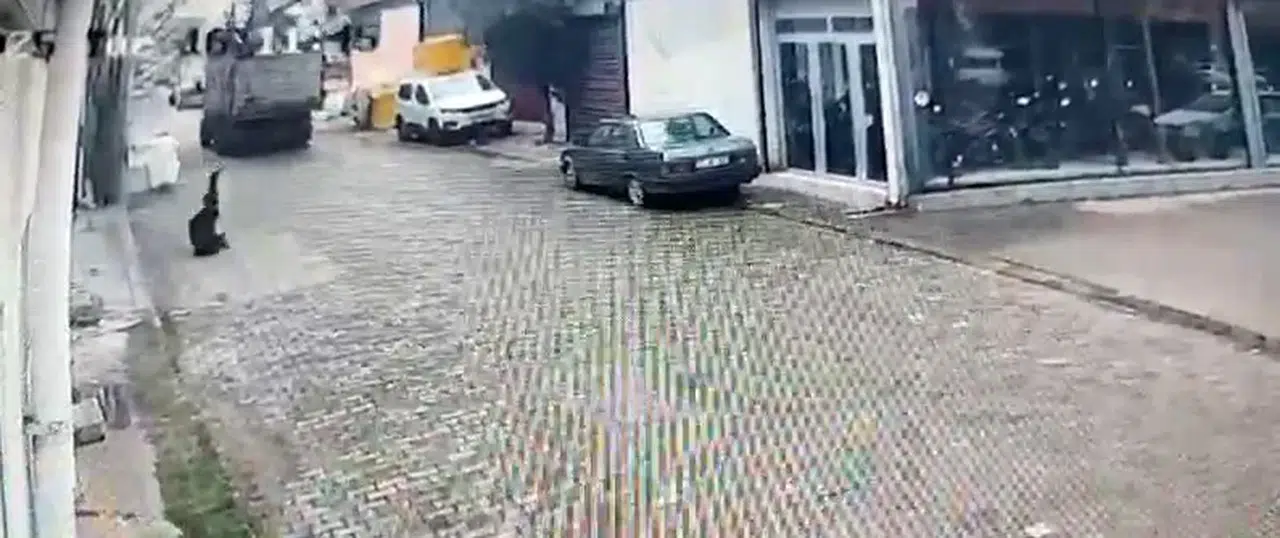 Aydın’da Enteresan Kaza