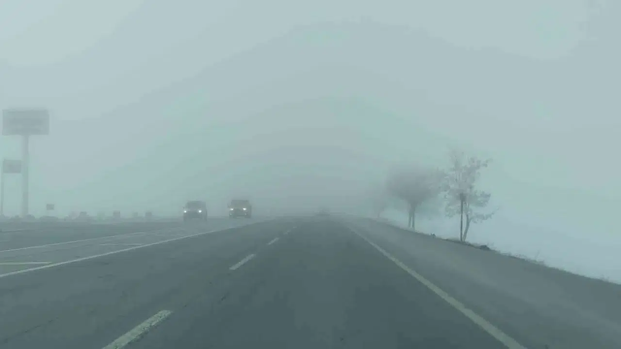 Bitlis’te Sis Tesirli Oldu, Ağaçlar Kırağı Tuttu