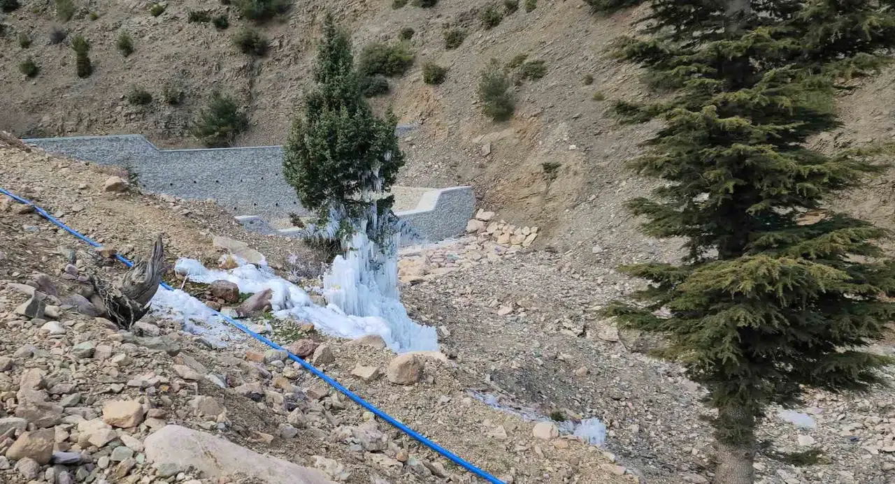 Borudan Sızan Suyla Çam Ağacı Buzdan Ağaca Döndü