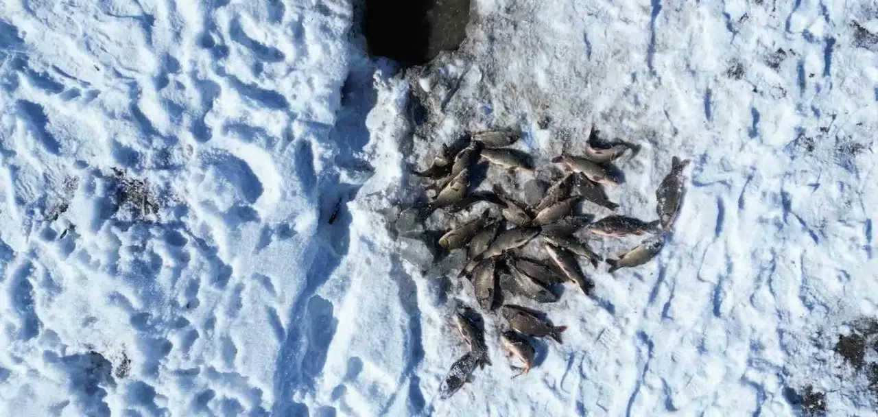 Buz Tutan Gölette ‘Eskimo’ Yöntemi Balık Avı