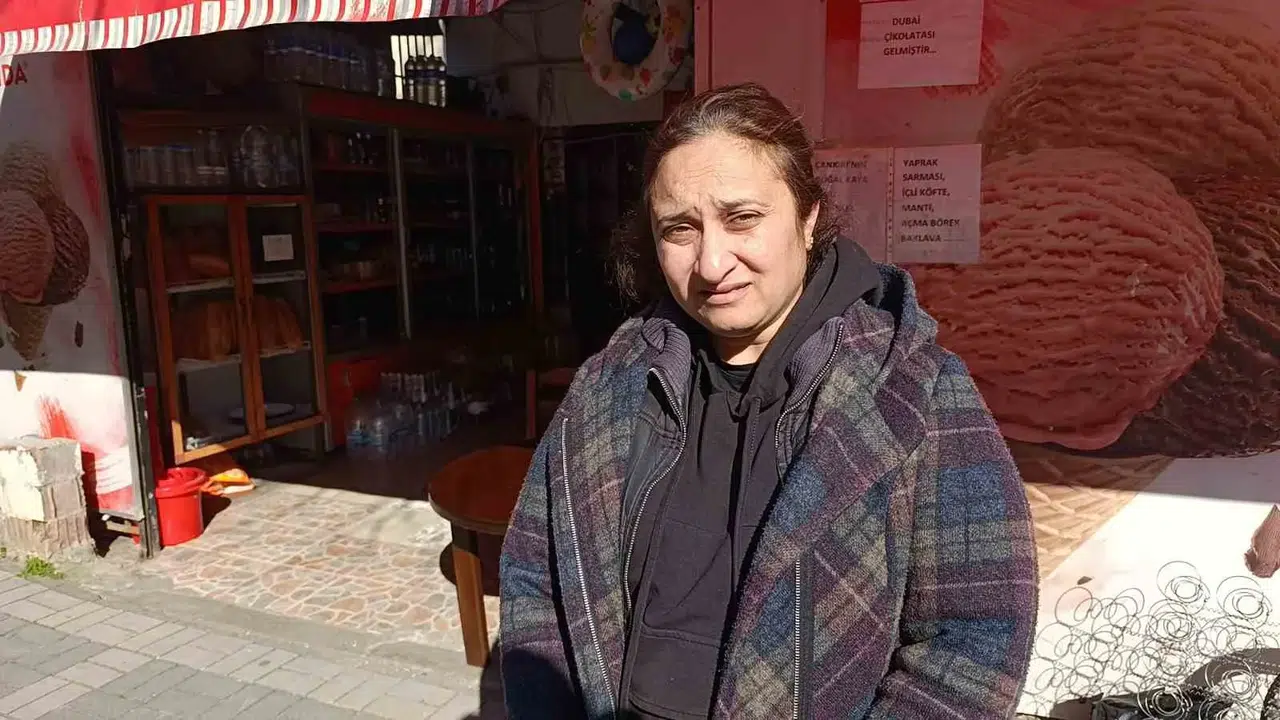 Cins Kedisi Kaybolan Bayan, Güvenlik Kamera Kayıtlarını İzleyince Şoke Oldu