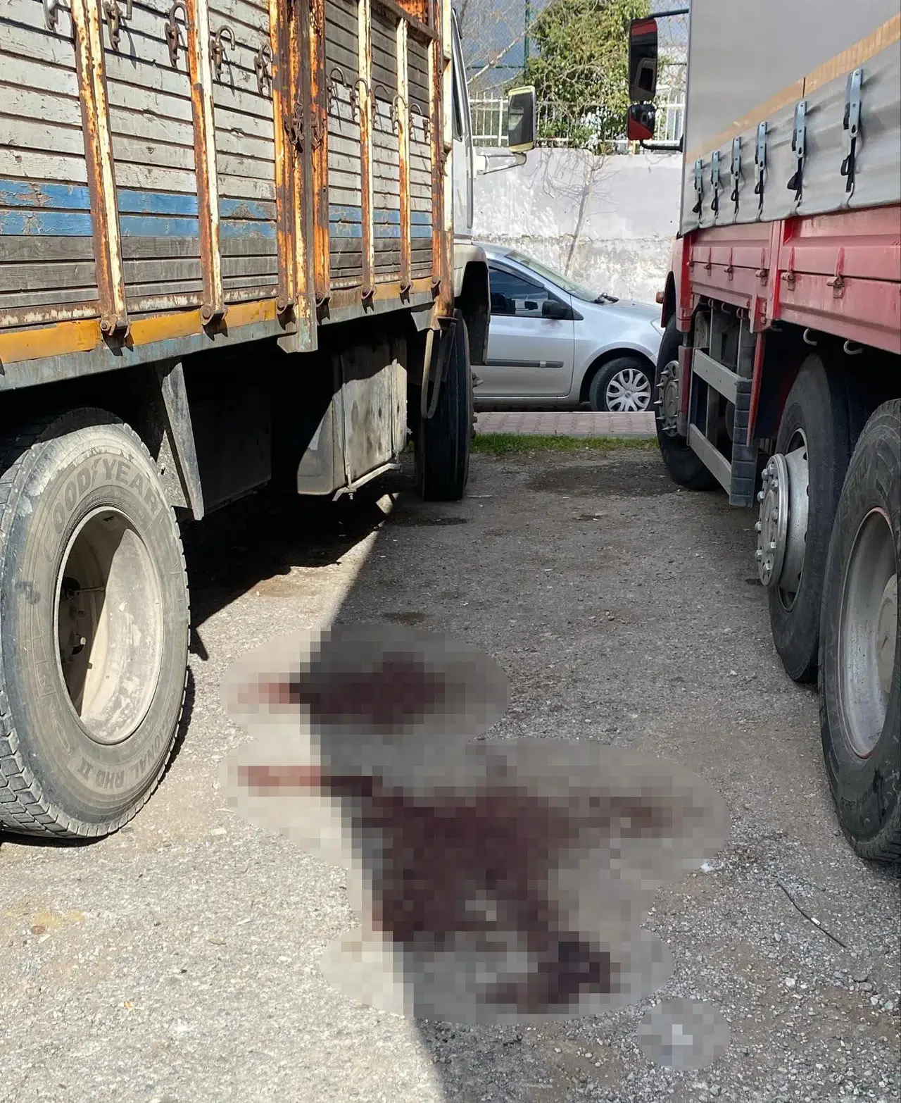 Eski Sevgilisini Ağır Yaralayan Zanlı Tutuklandı