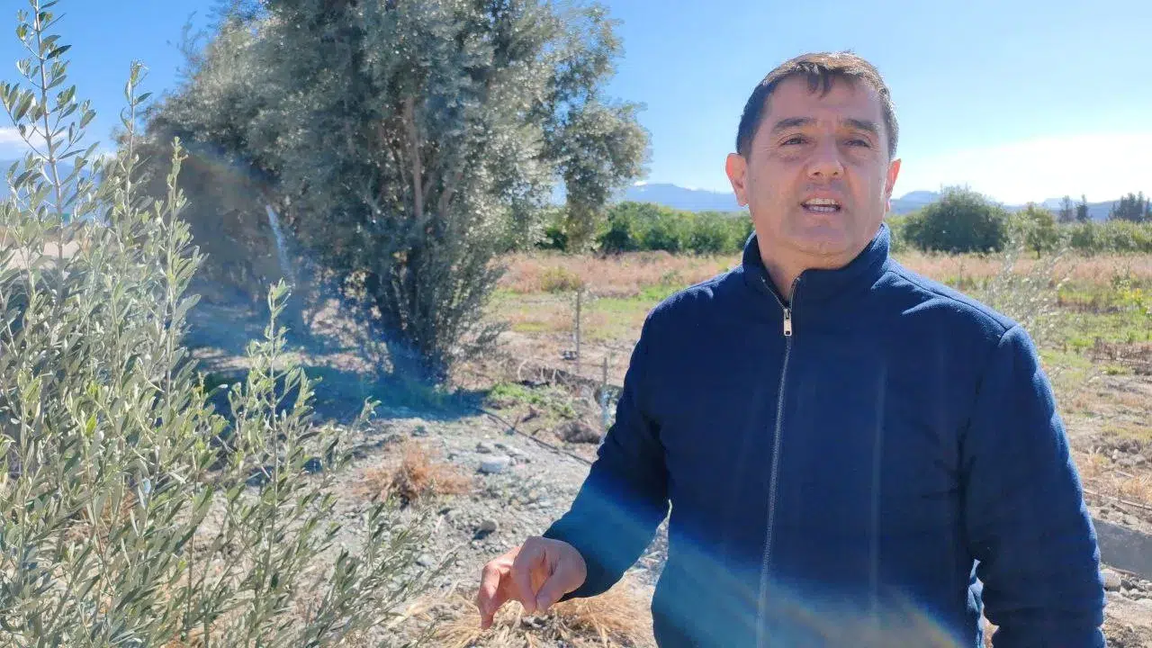 Fidan Hırsızları Çiftçiyi Sıkıntıdan Çıkarttı