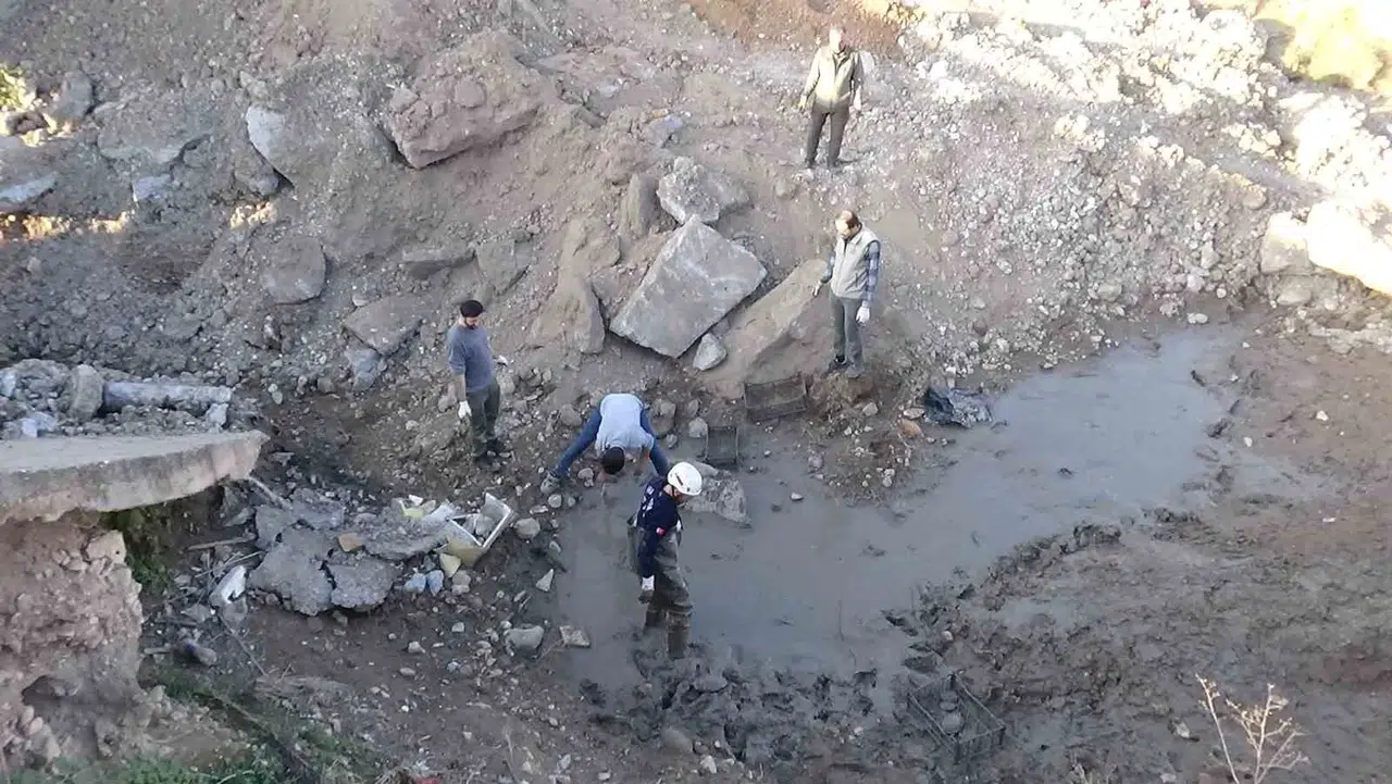 Şanlıurfa’da Çamur Bataklığında Mahsur Kalan 240 Kaplumbağa Kurtarıldı