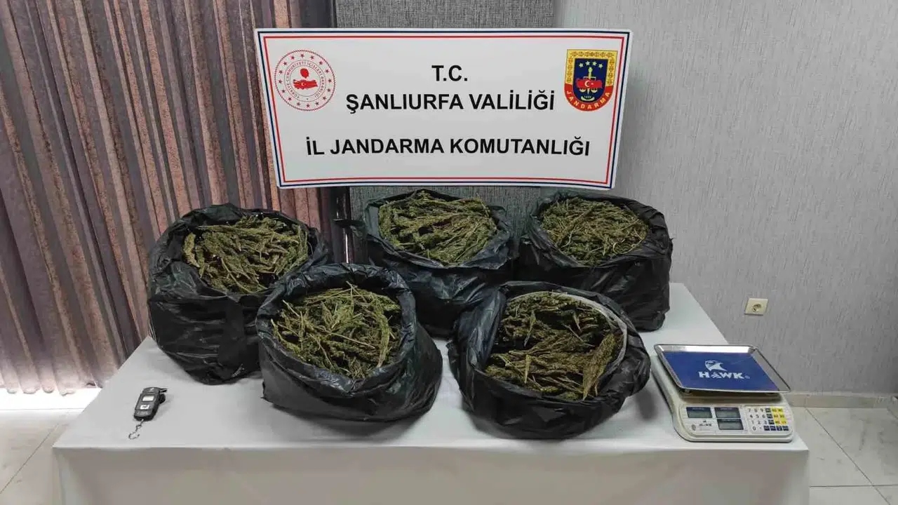Şanlıurfa’da Silah ve Uyuşturucu Unsur Ele Geçirildi: 7 Gözaltı