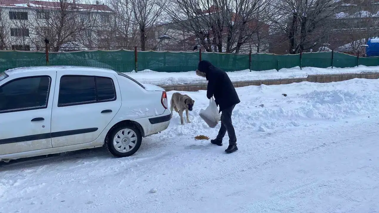 Şiddetli Kış Koşullarında Sokak Sokak Gezerek Hayvanları Besliyor