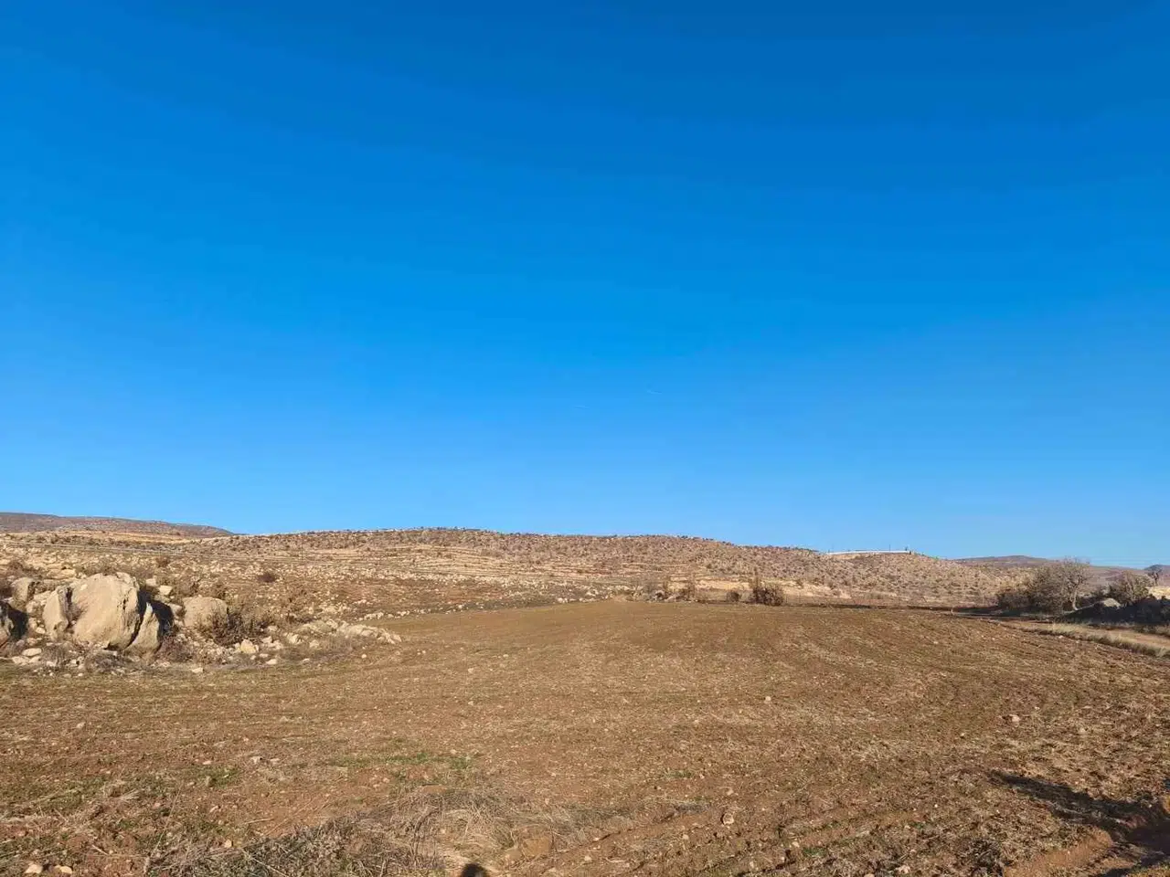 Siirt’te Kış Ayı Kurak Geçiyor